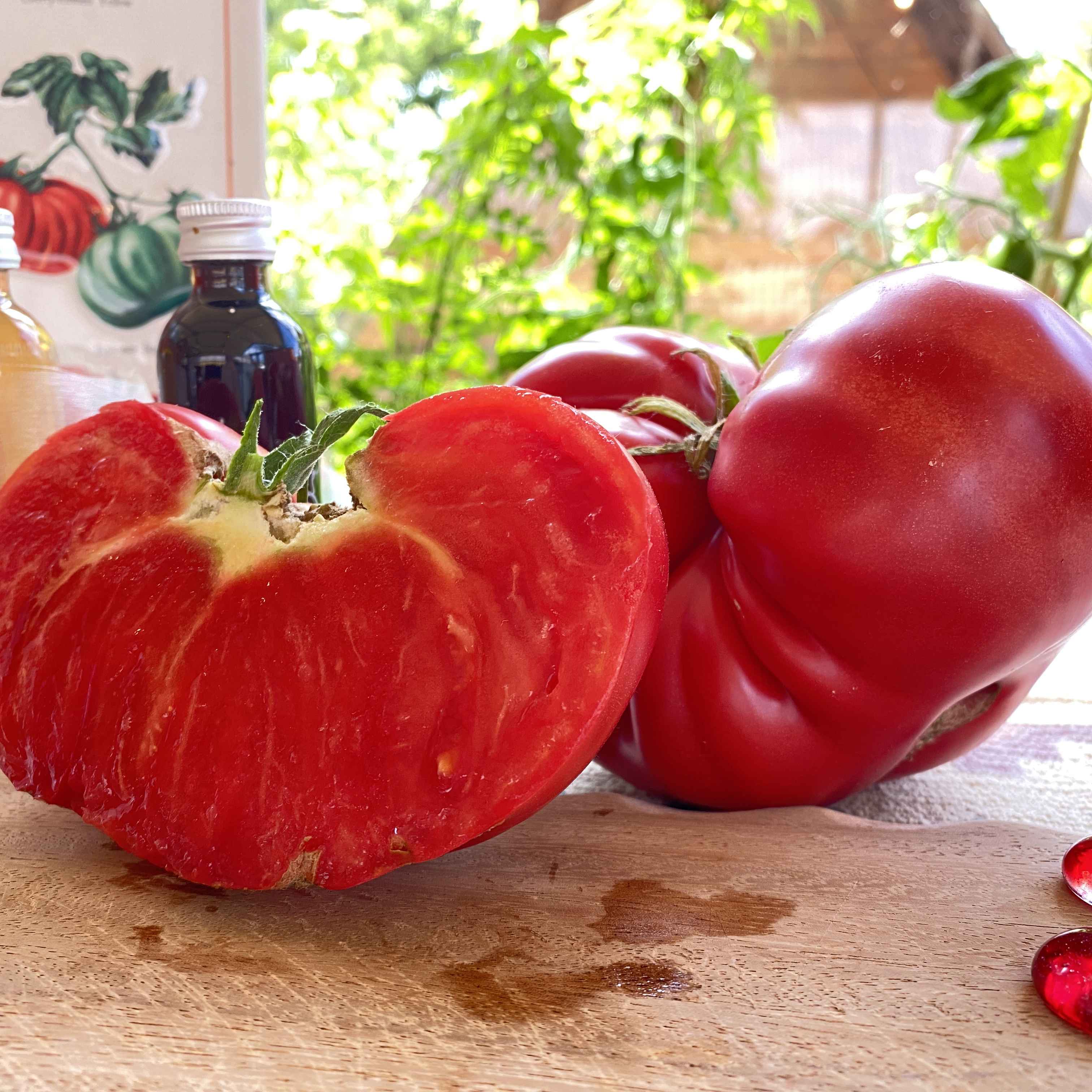 Saatgut / Samen von der Tomate Watermelon Beefsteak